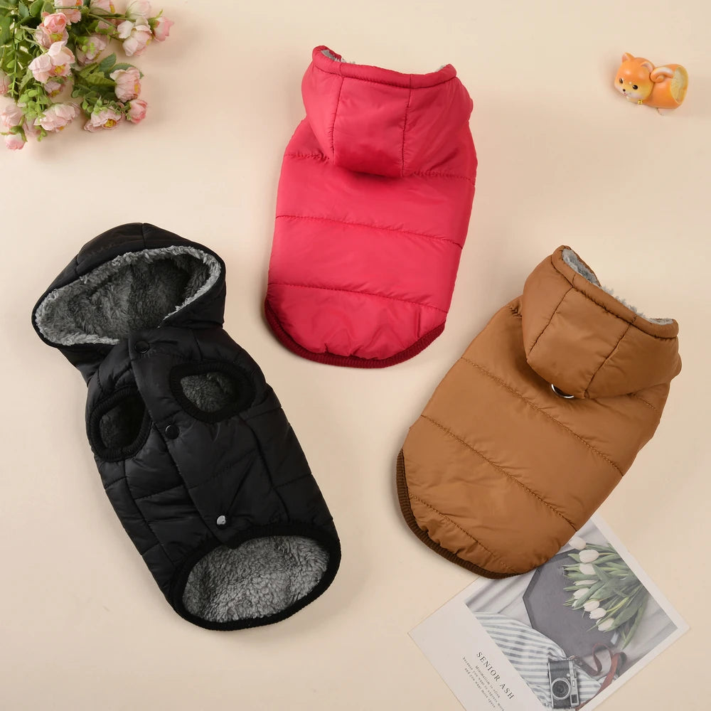 Warm Cats Hoodie Coat | Windproof & Fleece