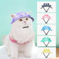Small Dog/Cat Cowboy Hat with Ear Holes | Multiple Colours Available