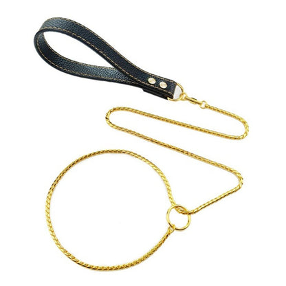304 Stainless Steel Dog Slip Chain Collar & Leash