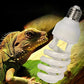 Crawlmiracle UVB 5.0 & 10.0 Light | Essential Lighting for Desert-Dwelling Reptiles