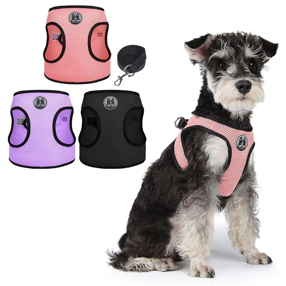 3-Pieces Breathable Step-in Dog Harness and Leash Set | No Pull Design | Small Dogs, Puppies, Cats | Pet Vest for Summer Walks