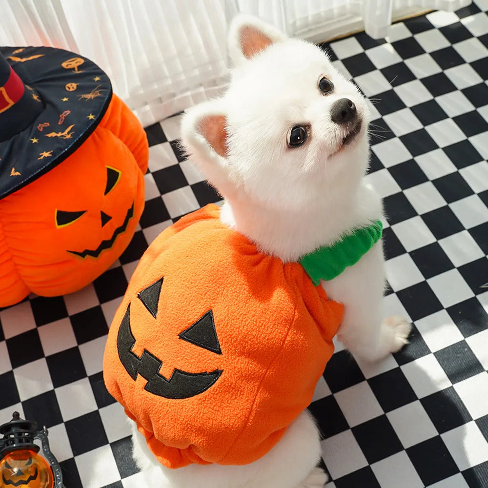 Creative Dog Pumpkin Costume