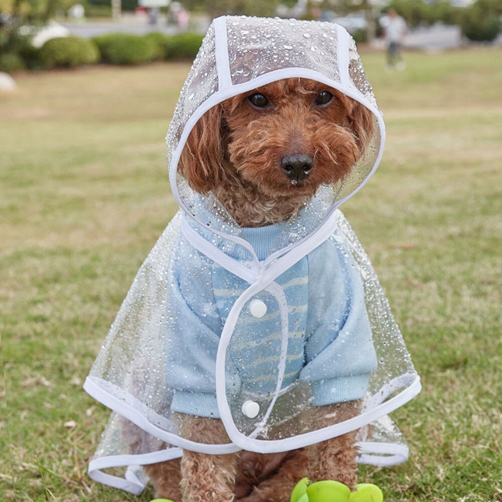 Transparent store dog raincoat