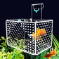 Acrylic Fish Tank Isolation Breeding Box | Transparent Aquarium Fry Incubator for Small Fish and Fry Protection