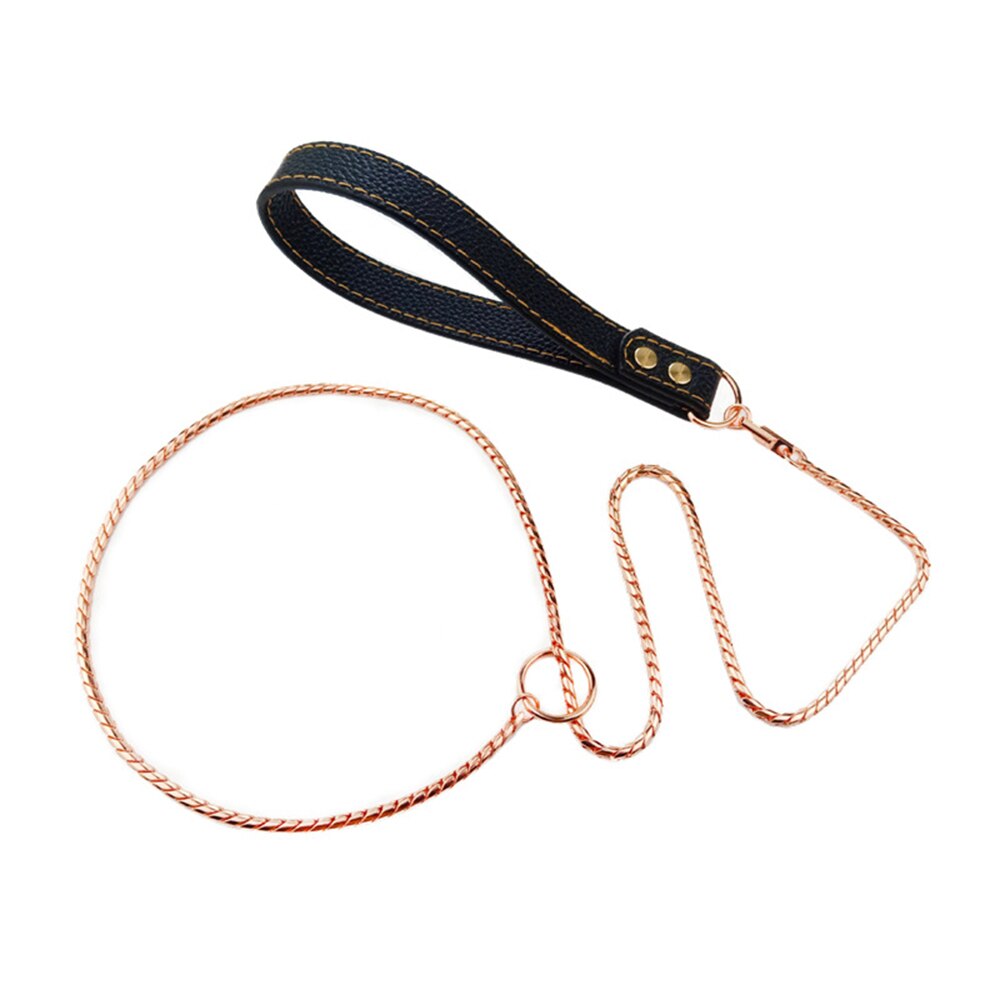 Stainless Steel Integrated Dog Slip Chain Collar Leash with Leather Handle | Pet Training and Show