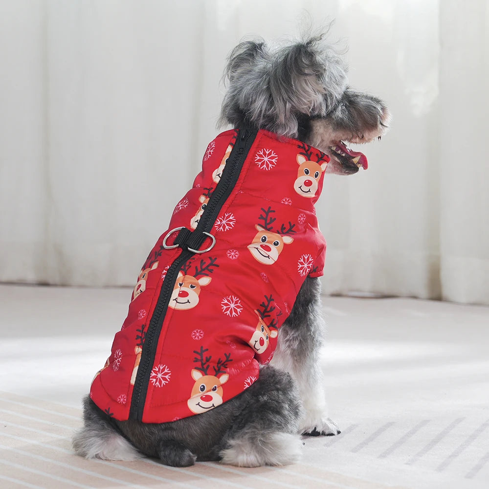 Winter Pet Dog Jacket with D-ring | XS-2XL