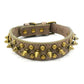 Spiked Leather Dog Collar | XS–XL