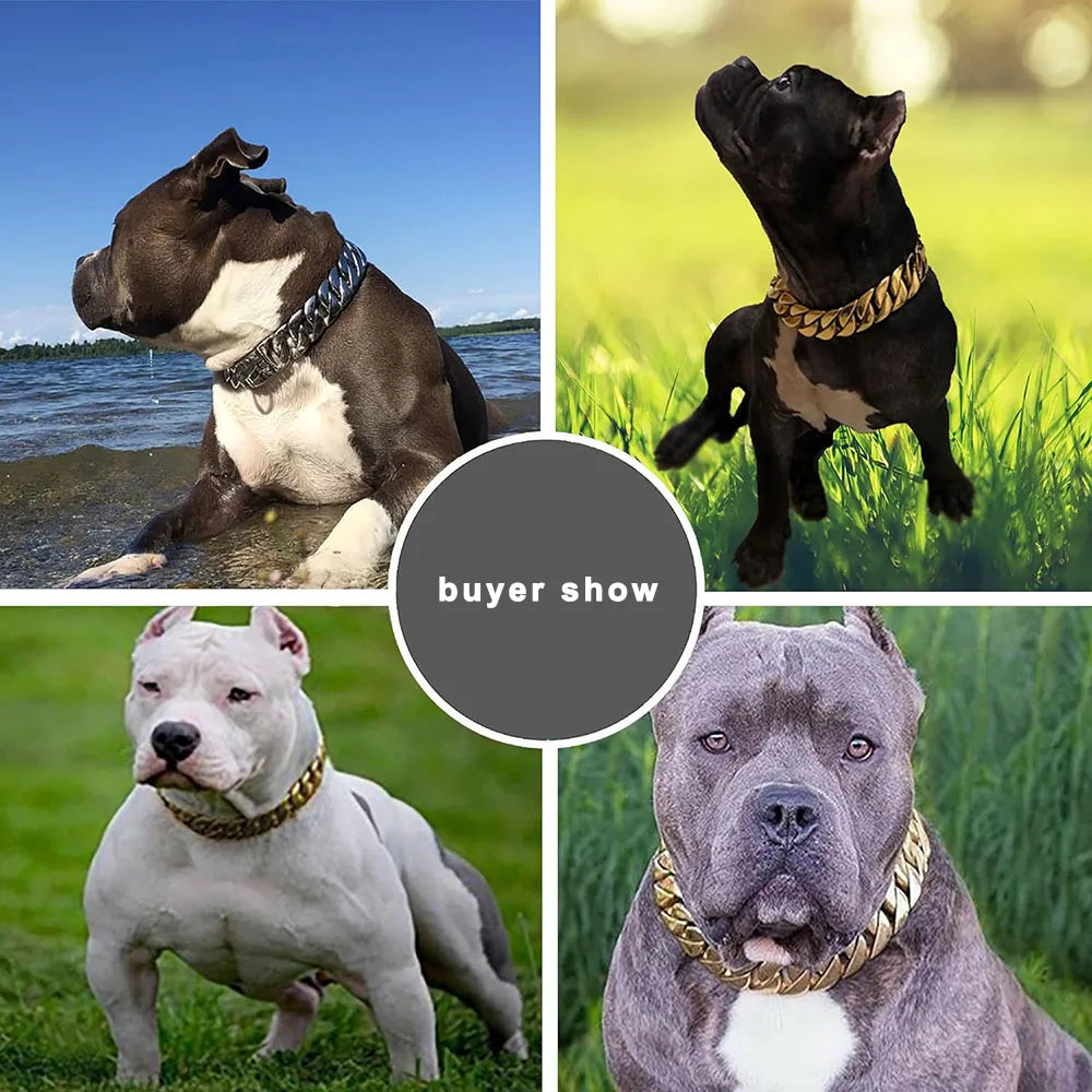 Large Dog Chain Collar | 19mm Gold Buckle