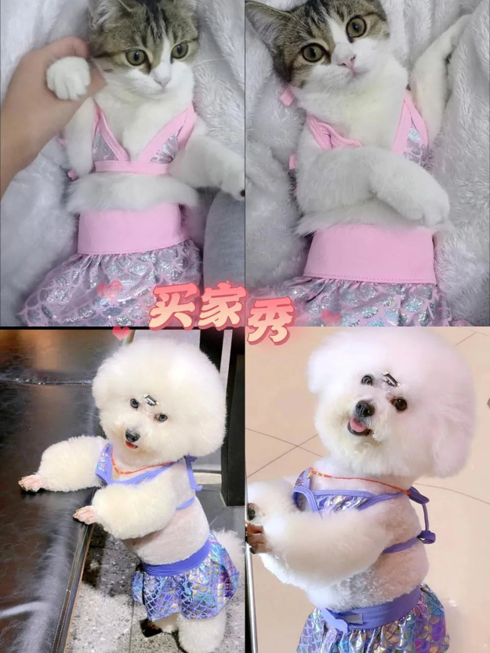 Cute Summer Dress Set for Small Dogs