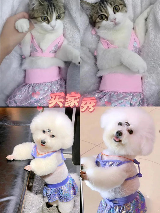 Cute Summer Dress Set for Small Dogs