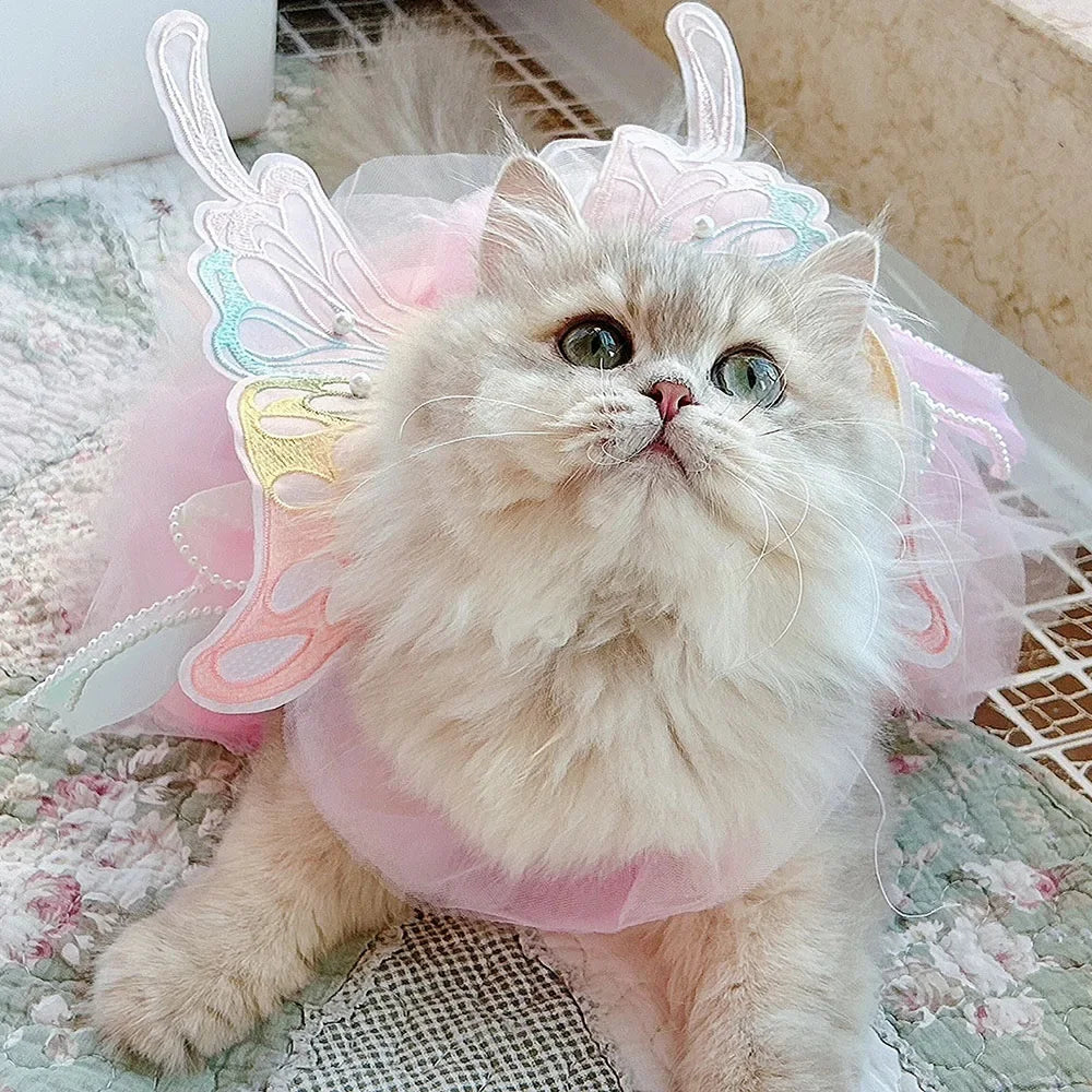 Rainbow Butterfly Dress | for Cats and Dogs