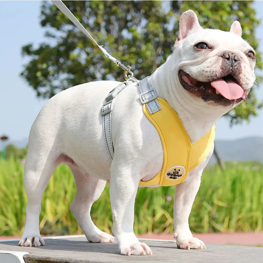 Dog Harness & Leash Set | Reflective & Breathable