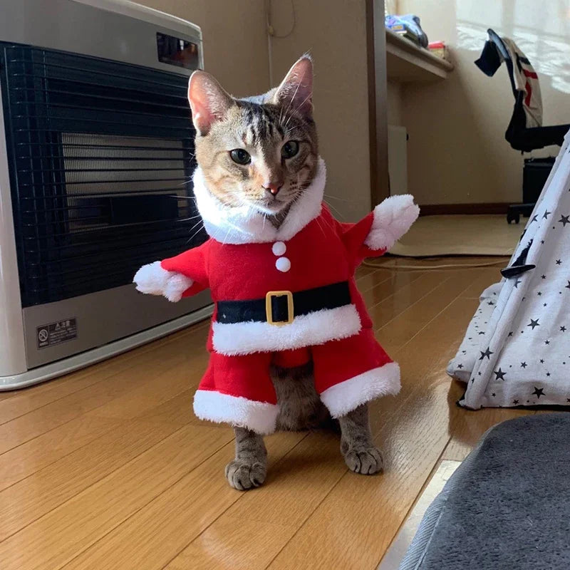 Dog Santa Claus Outfit | XS - XL Available