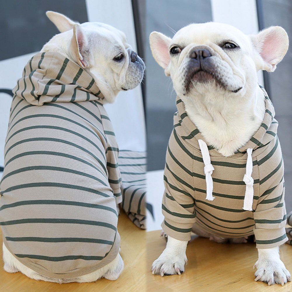 Soft, Patterned Hoodie for Small and Medium Dogs | Warm and Cozy Cat and Dog Clothes | Striped Sweater