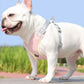 Dog Harness & Leash Set | Reflective & Breathable