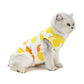 Cat Recovery Suit | E-Collar Alternative