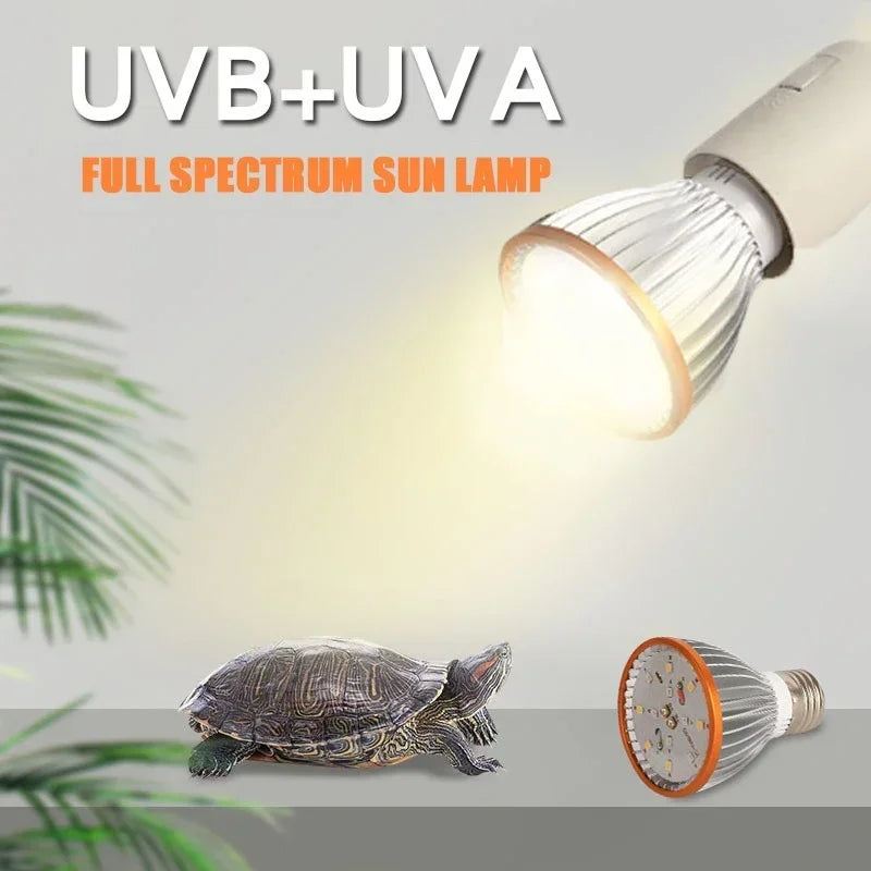 Energy-Efficient LED Reptile Lamp | UVB and UVA Lighting for Tropical and Desert Habitats