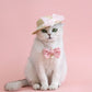 Pearl Necklace for Small Pets
