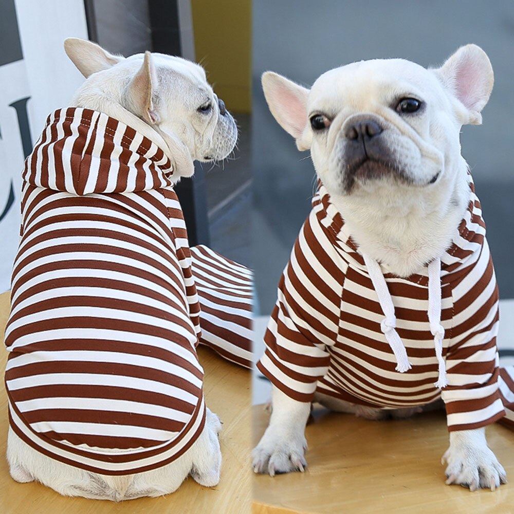 Soft, Patterned Hoodie for Small and Medium Dogs | Warm and Cozy Cat and Dog Clothes | Striped Sweater