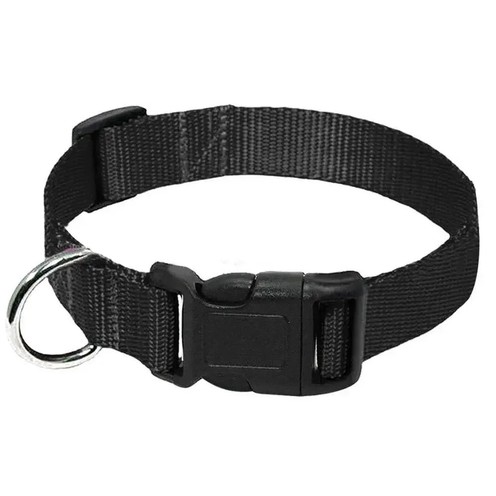 Soft Nylon Dog Collar with Quick Release
