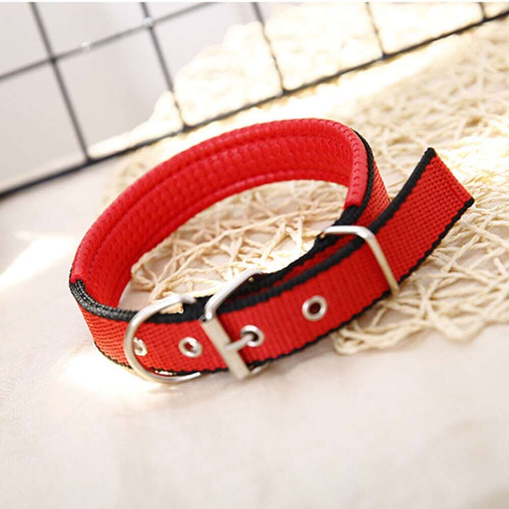 Adjustable Foam Padded Dog Collar | Durable Metal Buckle Pet Collar for Large Dogs & Cats | Strong Walking Collar