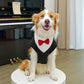 Extra-Large Winter Fleece Tuxedo with Bow Tie