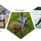 Dog Life Jacket | Shark & Fish Shaped Vests