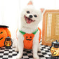 Creative Dog Pumpkin Costume