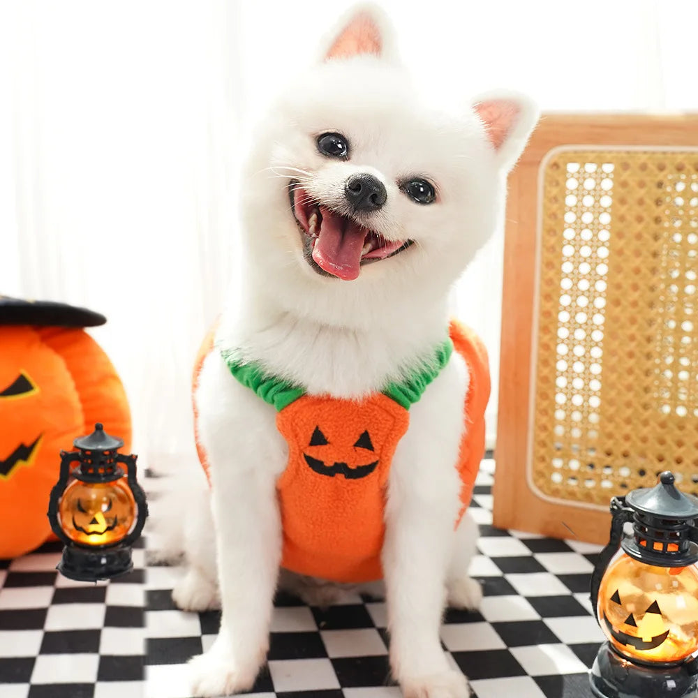 Creative Dog Pumpkin Costume