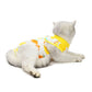 Cat Recovery Suit | E-Collar Alternative
