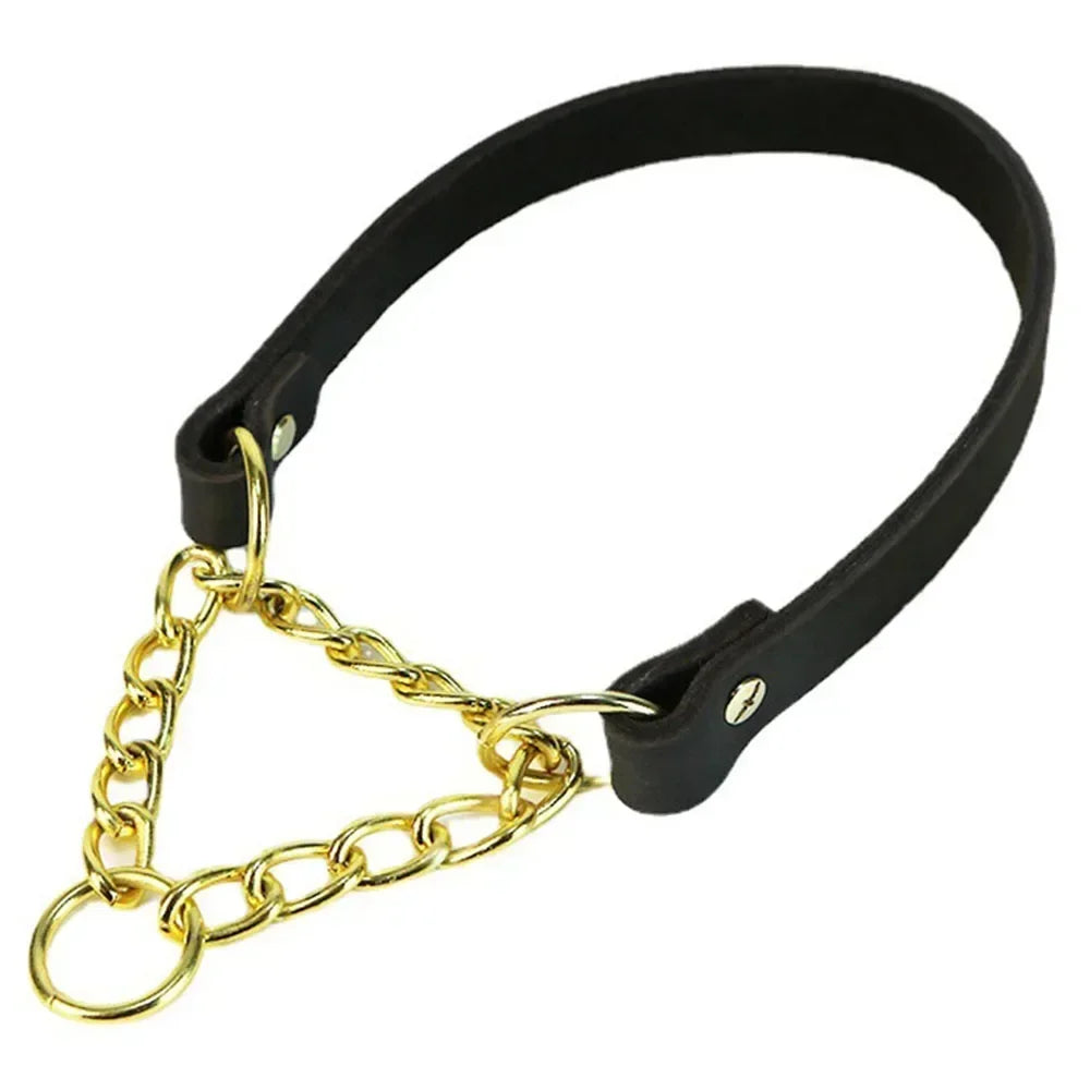 No Pull Leather Martingale Dog Collar