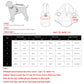 Warm Cats Hoodie Coat | Windproof & Fleece