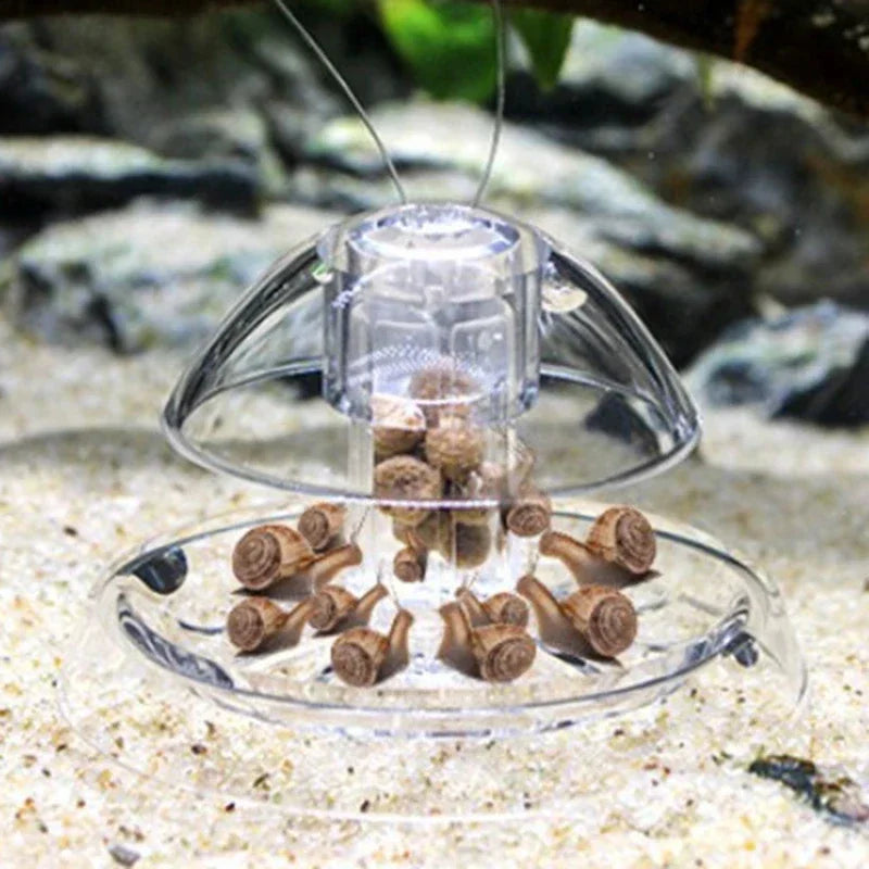 Snail Catcher Aquarium Trap | Effective Fish Tank Snail Remover for Freshwater Tanks