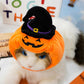Creative Dog Pumpkin Costume