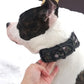 Reflective Big Dog Collar | Soft Padded Adjustable Pet Collar for Medium & Large Dogs | Buckle Closure