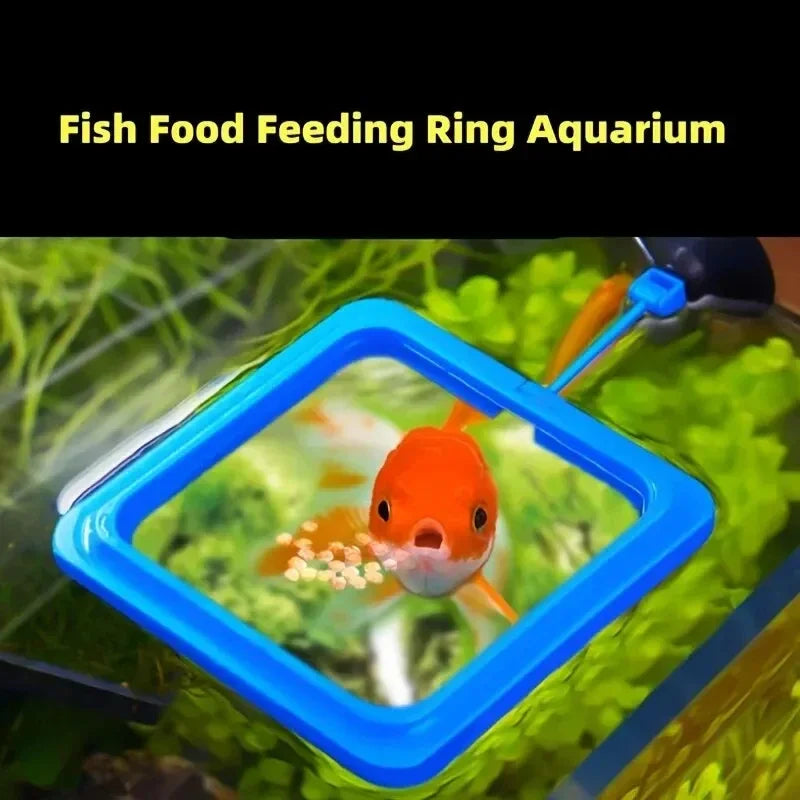 Aquarium Feeding Ring Floating Food Feeder Rings | Floating Food Feeder for Easy Aquarium Feeding