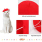 Wool Puppy Beret | Adjustable Pet Hat