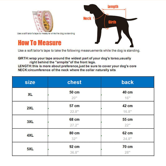 Warm Winter Dog Hoodie | Snacks Pocket