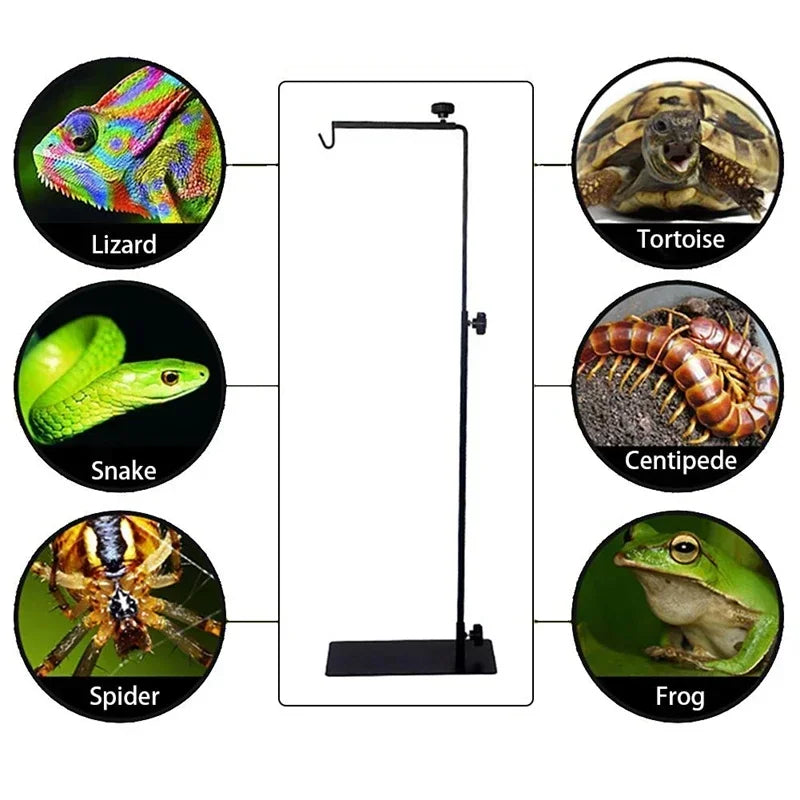 Adjustable Reptile Lamp Stand | Telescopic Metal Floor Stand for Reptile Heat Lamps, Ideal for Lizards, Turtles, and Snakes