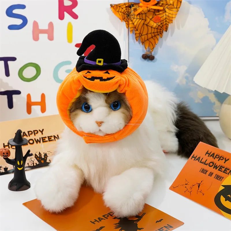 Creative Dog Pumpkin Costume