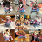 Cute Funny Halloween Pet Costume
