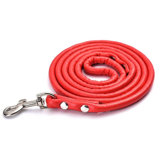 Round Colourful PU Rolled Dog Leash | Durable