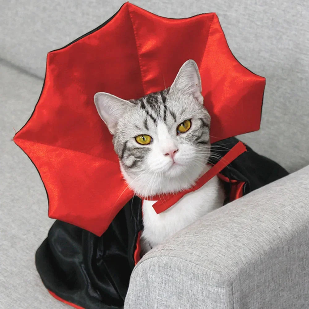 Cat Halloween Costume | Red & Black Cloak