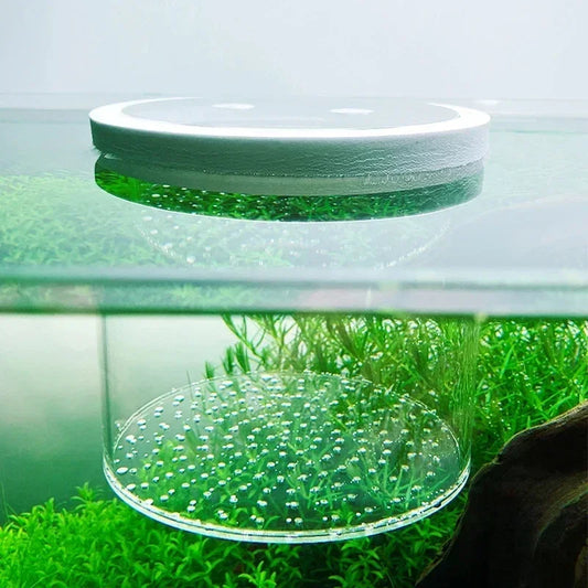 Floating Acrylic Fish Tank Isolation Box | Aquarium Breeding & Hatching Container