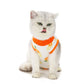 Cat Recovery Suit | E-Collar Alternative