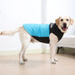 Warm Winter Pet Dog Jacket | XS-6XL Available