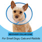 Adjustable Breathable Pet Recovery Cone | Soft Plastic for Post-Surgery Comfort
