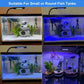 Mini Clip-On LED Aquarium Light | Four Colour Full Spectrum Fish Tank Lamp for Plant Growth & Decoration