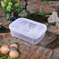 12 Egg Position Incubation Box for Reptiles and Amphibians | Durable Egg Holder and Hatching Box with Integrated Thermometer