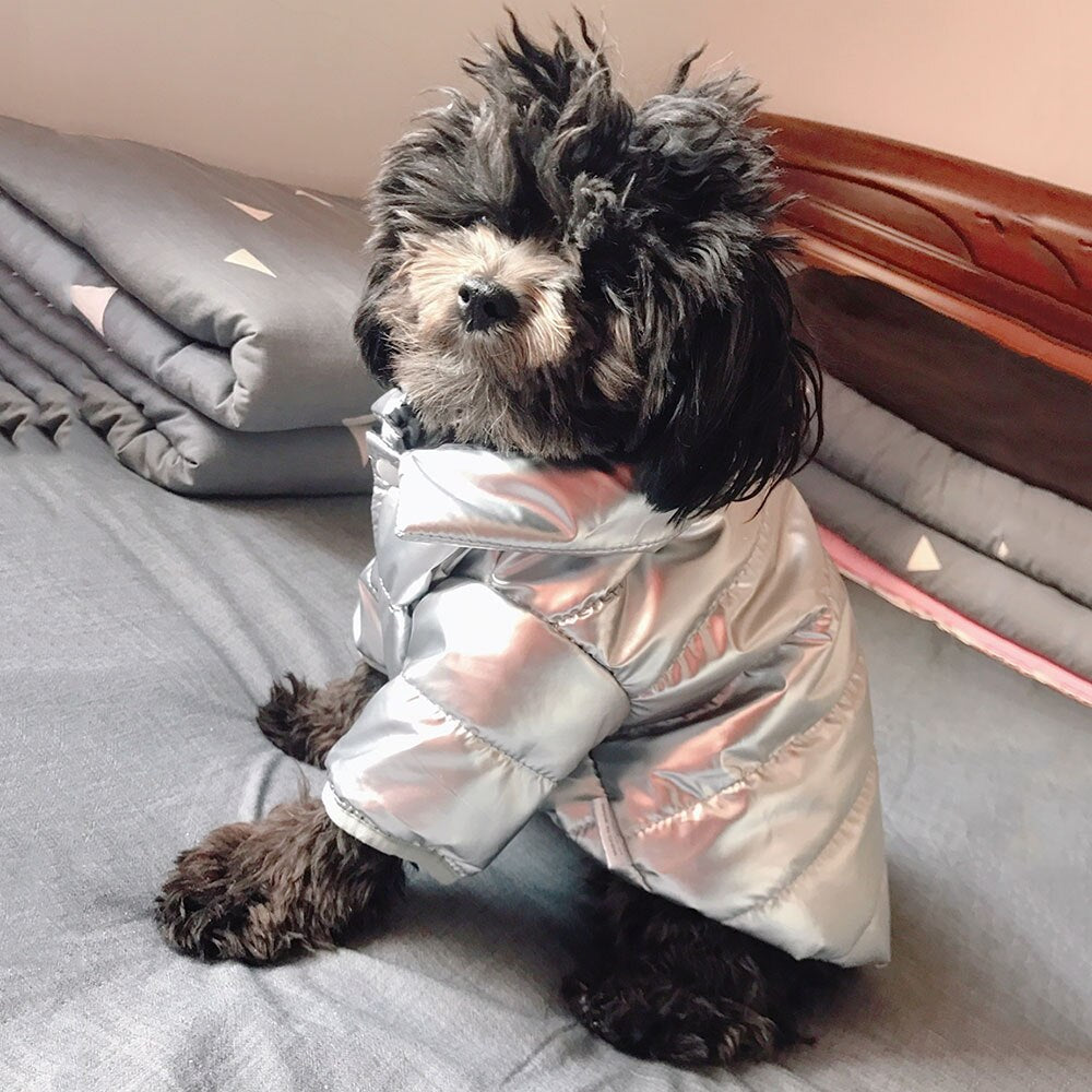 Warm Winter Dog Sweater | Waterproof & Windproof Clothes
